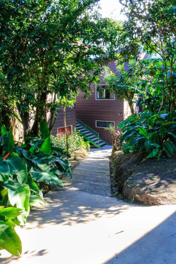 Moon Forest Apartments モンテベルデ エクステリア 写真
