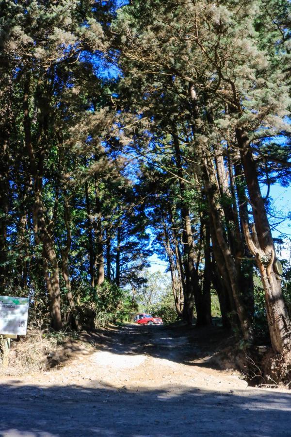 Moon Forest Apartments モンテベルデ エクステリア 写真