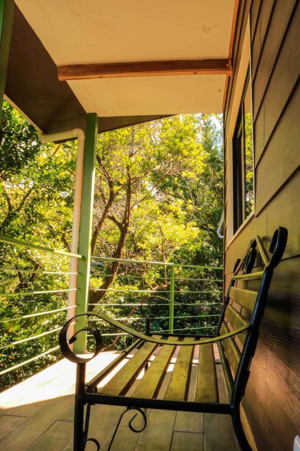 Moon Forest Apartments モンテベルデ エクステリア 写真